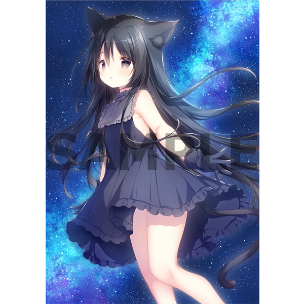 星空鉄道とシロの旅 限定版 【Switchゲームソフト】｜の通販は