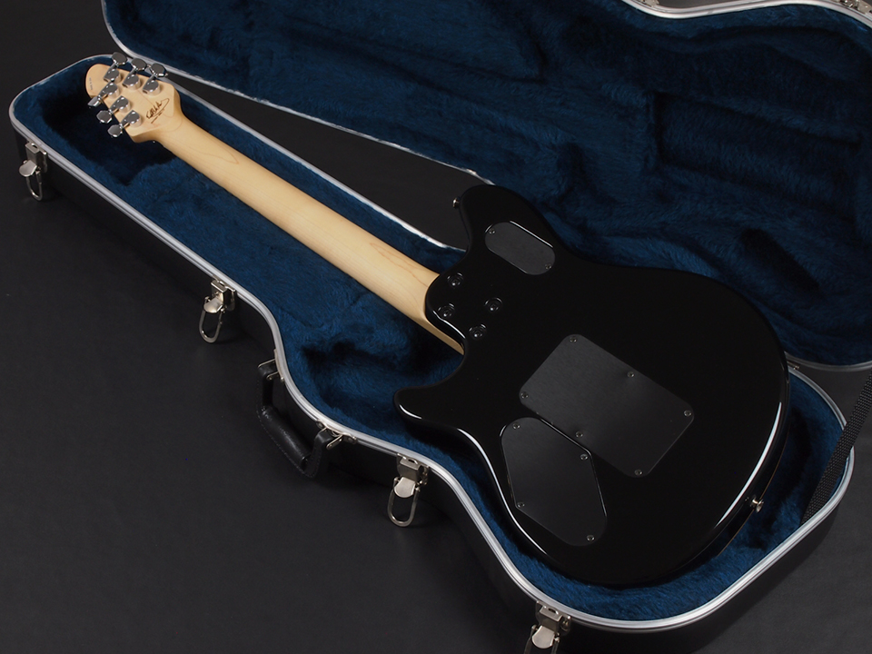 PEAVEY USA Wolfgang Special Flame Top Transparent Green 2002年製