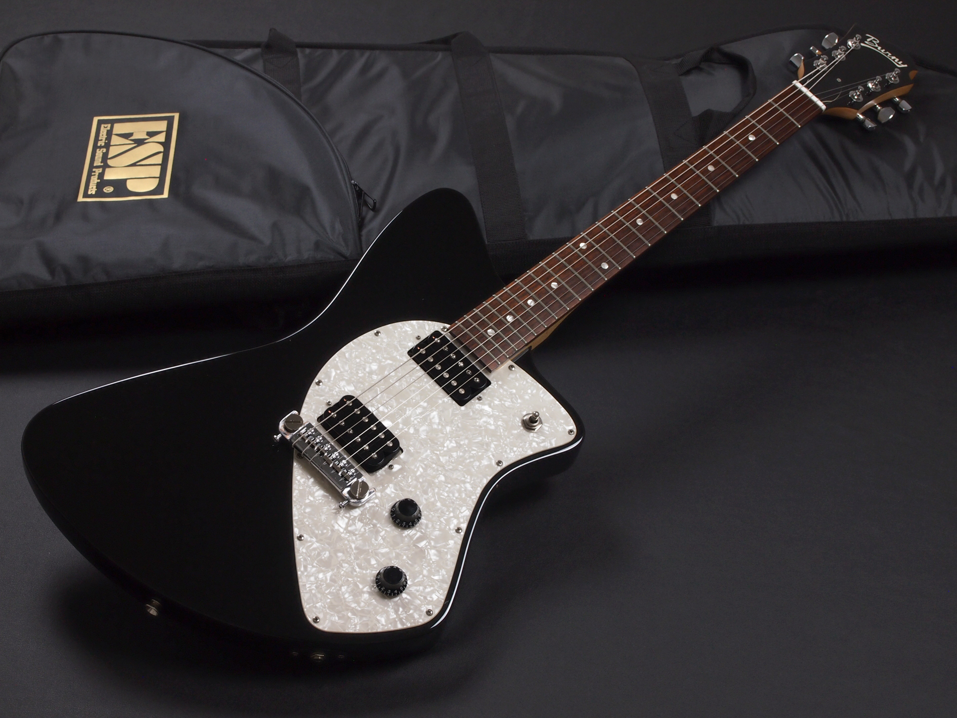 ギター レア Fernandes フェルナンデス シャチ Hシリーズ ギター レア