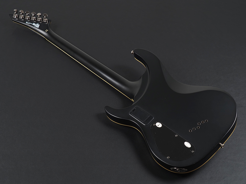 Washburn Parallaxe PXS20EC ~Carbon Black Satin~ 中古 USAの名門