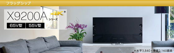 Sony 4K液晶テレビ サイドスピーカー搭載 KD-65X9200A 65型 SONY