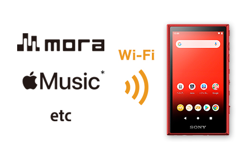 ポータブルプレーヤー C743 SONY Walkman NW-A100 series 16GB