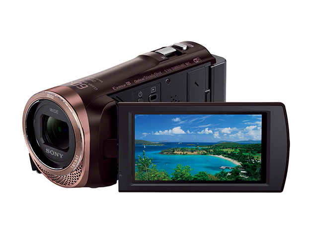 SONY ハンディカム HDR-CX480 スペアバッテリー付き 美品 SONY HDR