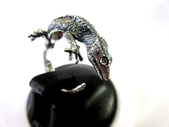 コールドアイズクレステッドゲッコー 15号爬虫類