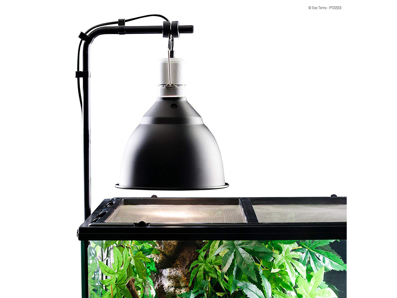 爬虫類ショップ サウリア大東店｜ライトドーム 18cm