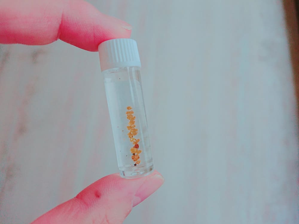 不器用でも必ず「金」が採れる？！西三川で砂金採り体験！！ | 佐渡