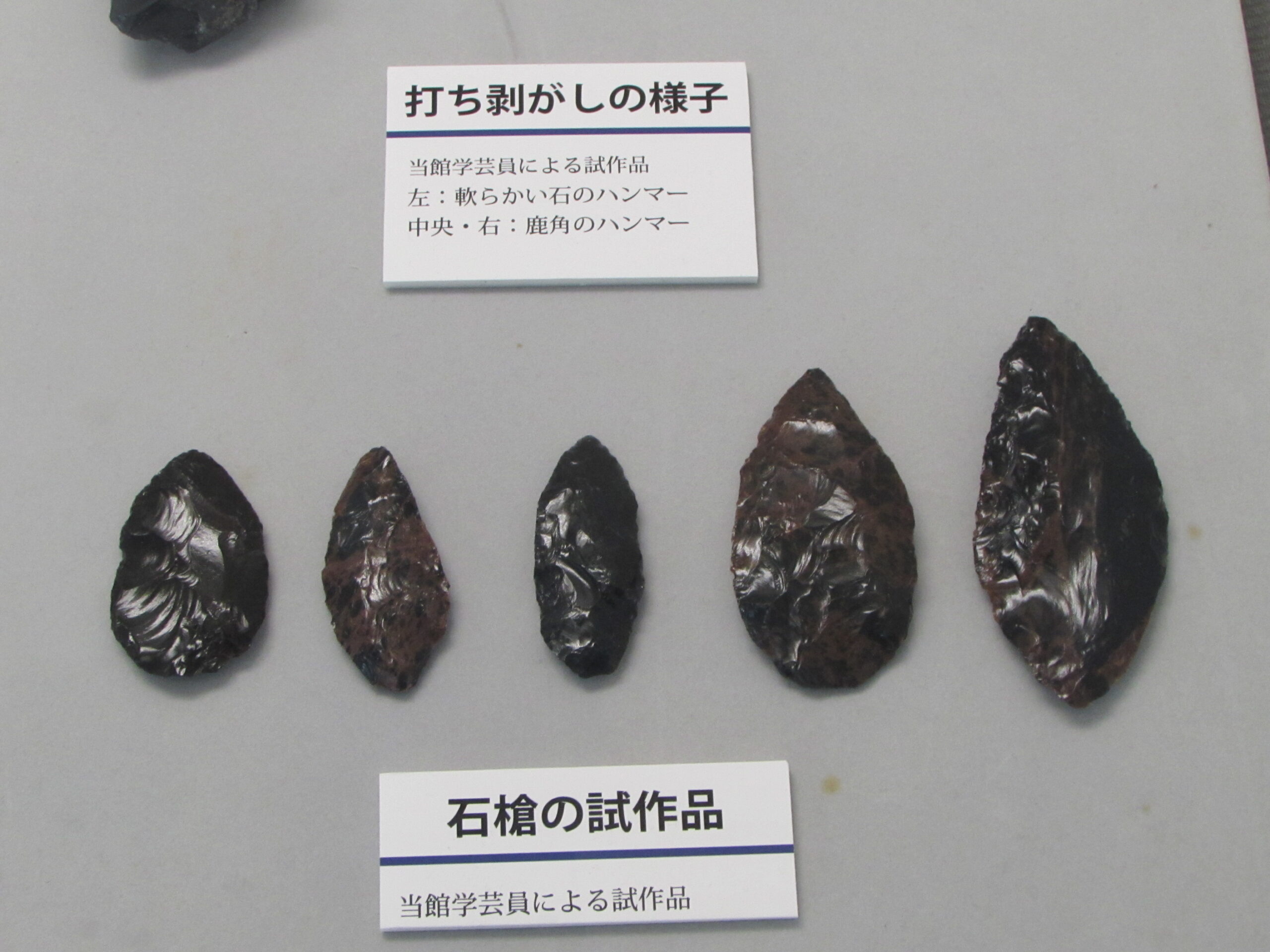 考古ミニ展示「旧石器時代の狩りの道具 石槍」を開催しています