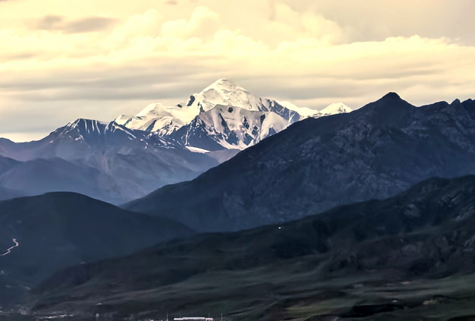 花咲く草原のアムド 幻のブルーポピーを求めて｜西遊旅行の添乗員同行