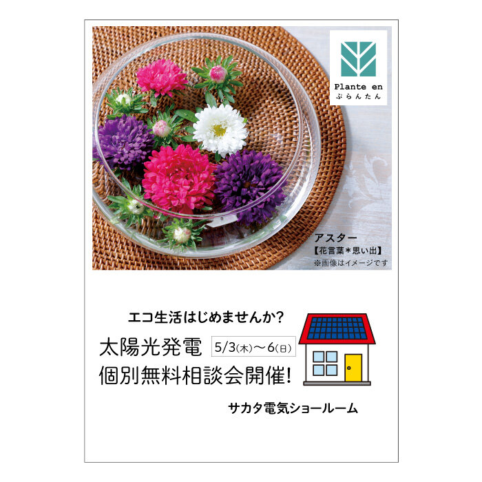 花ページ 花 ページ 花 ページ ☆ 花 ☆ 花ページ Amazon.co.jp: ZX