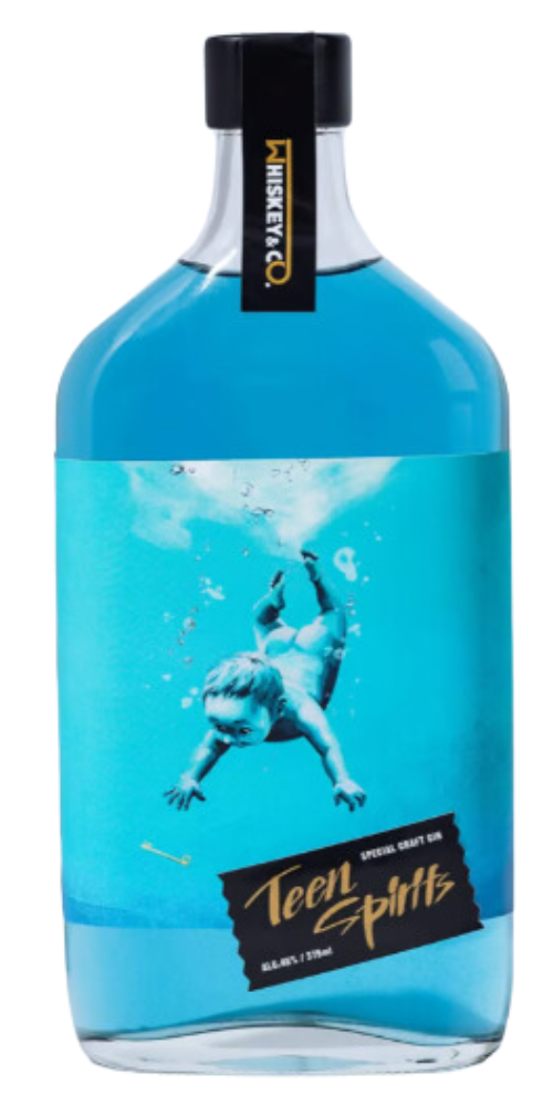 ティーンスピリッツ ジン（TeenSpirits）45° 375m – 柴田屋酒店 online