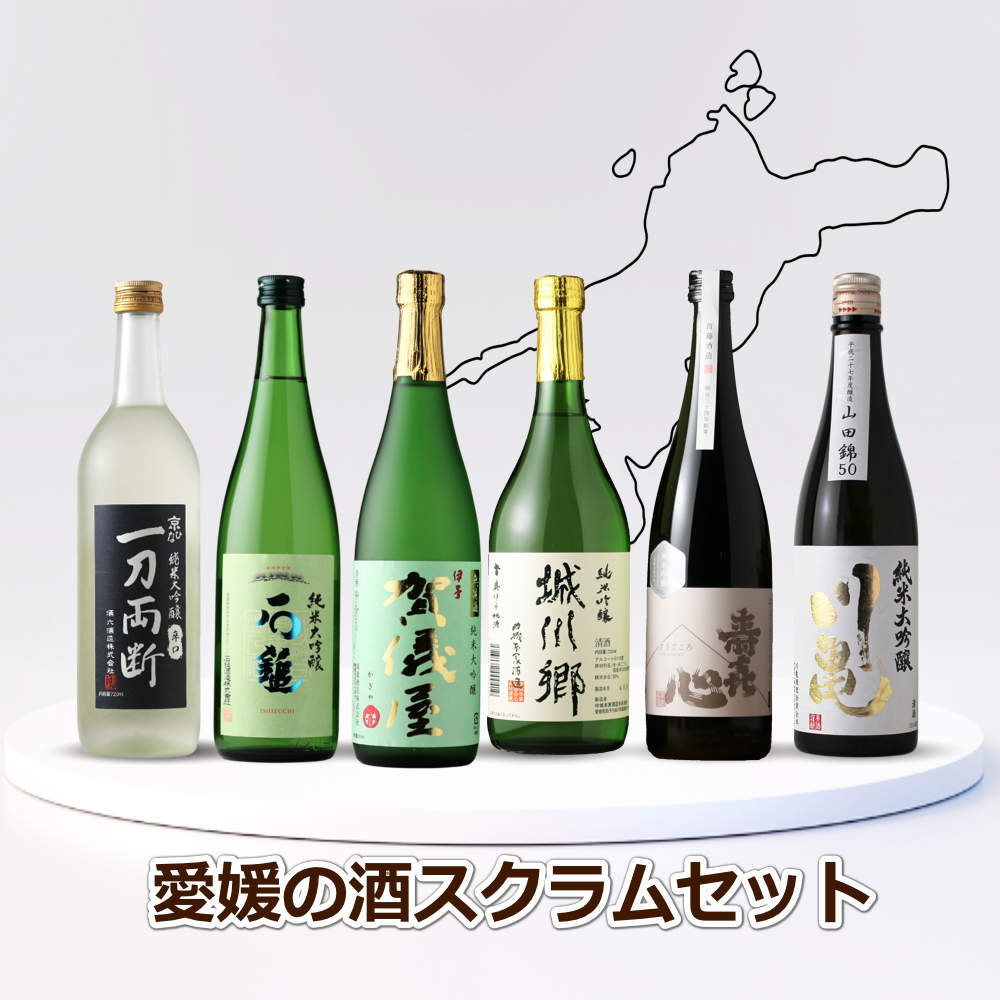 日本酒 4本セット 720ml 日本酒セット。 日本酒4点セット 特価