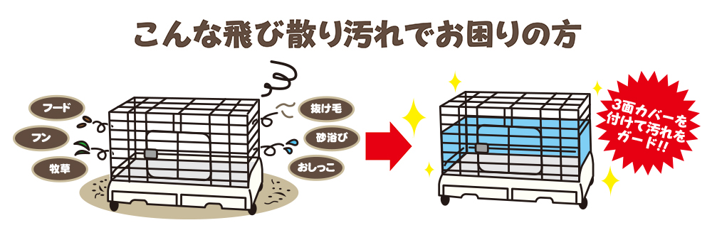 Fumihiko Nishigaki ③ケージ Fumihiko Nishigaki ③ケージ 3-Nen B