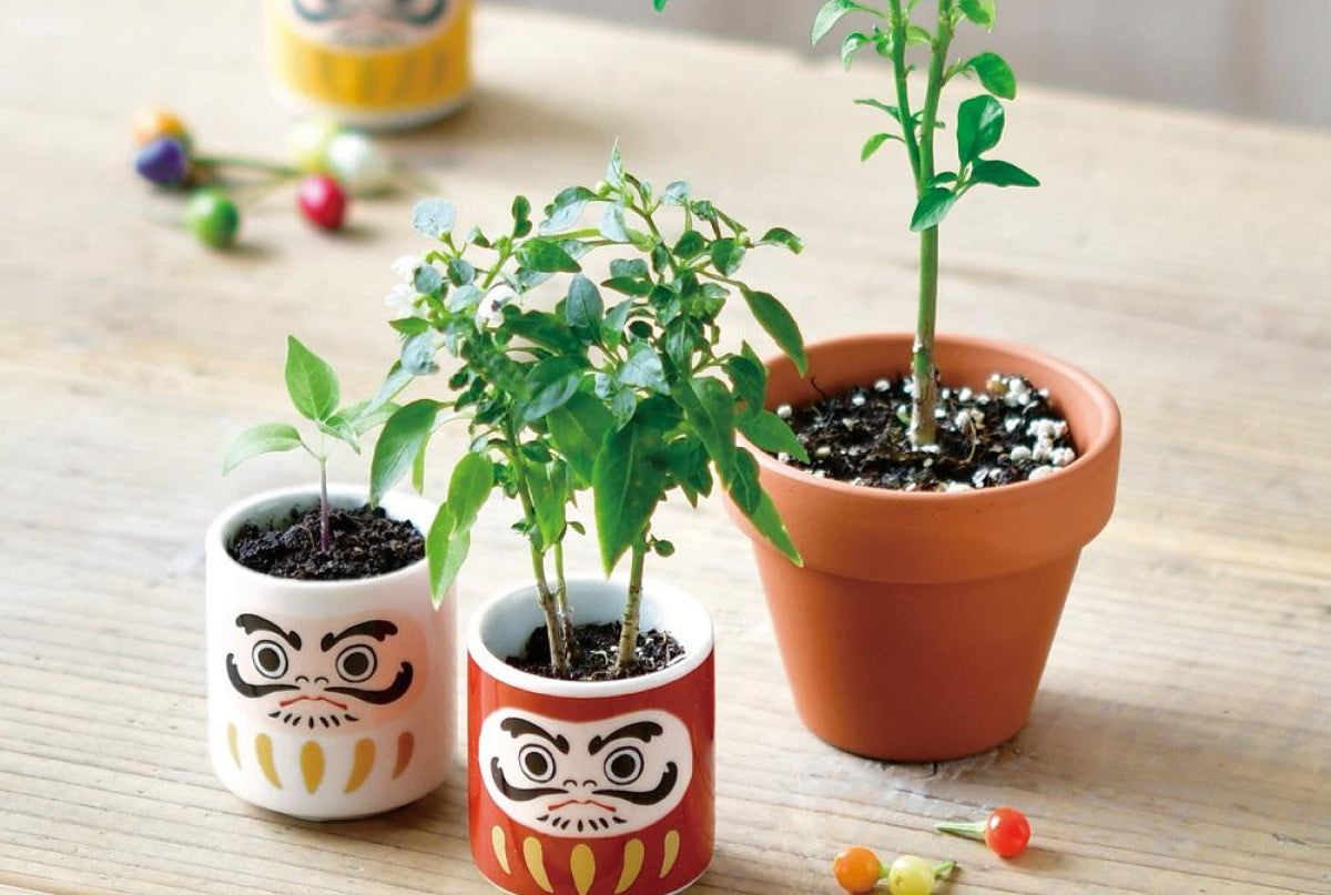 聖新陶芸株式会社 | 瀬戸焼振興協会