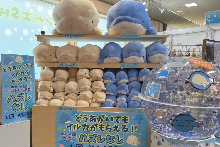 どうあがいてももらえるぬいぐるみくじセット券｜横浜・八景島シー