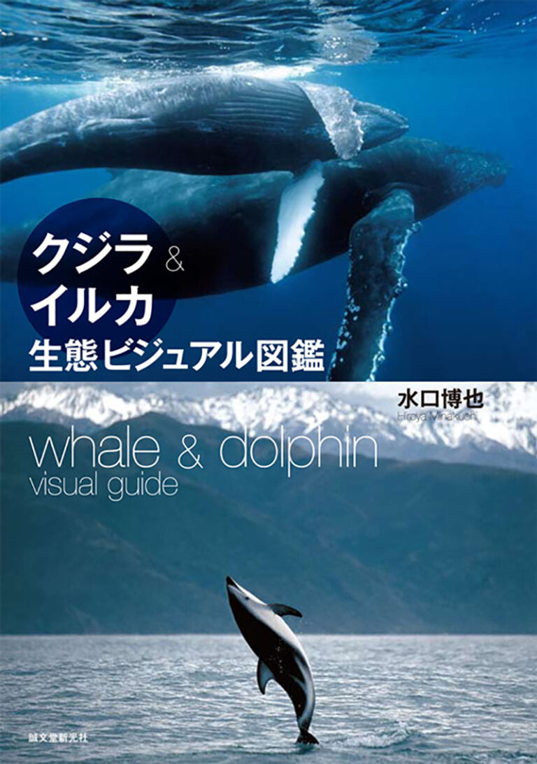 クジラ&イルカ生態ビジュアル図鑑 | 株式会社誠文堂新光社