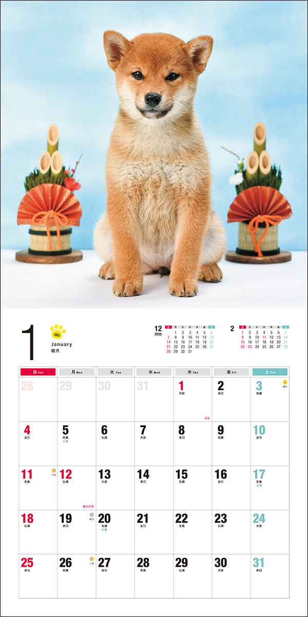 1780円最新成毅チョン・イー【赴山海】カレンダー2025+2026年カレンダー