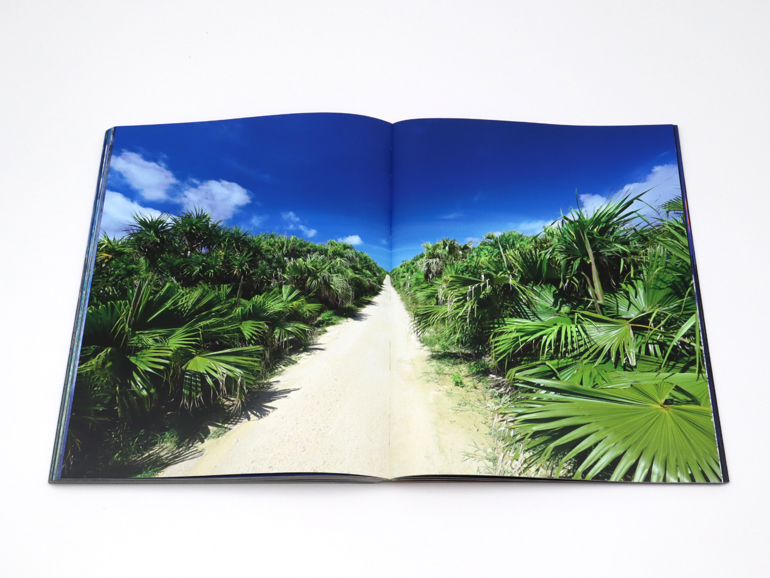 ピーチ33号 菅原如学筆山水画真筆証明書在【評価24万】中島清堂鑑 271