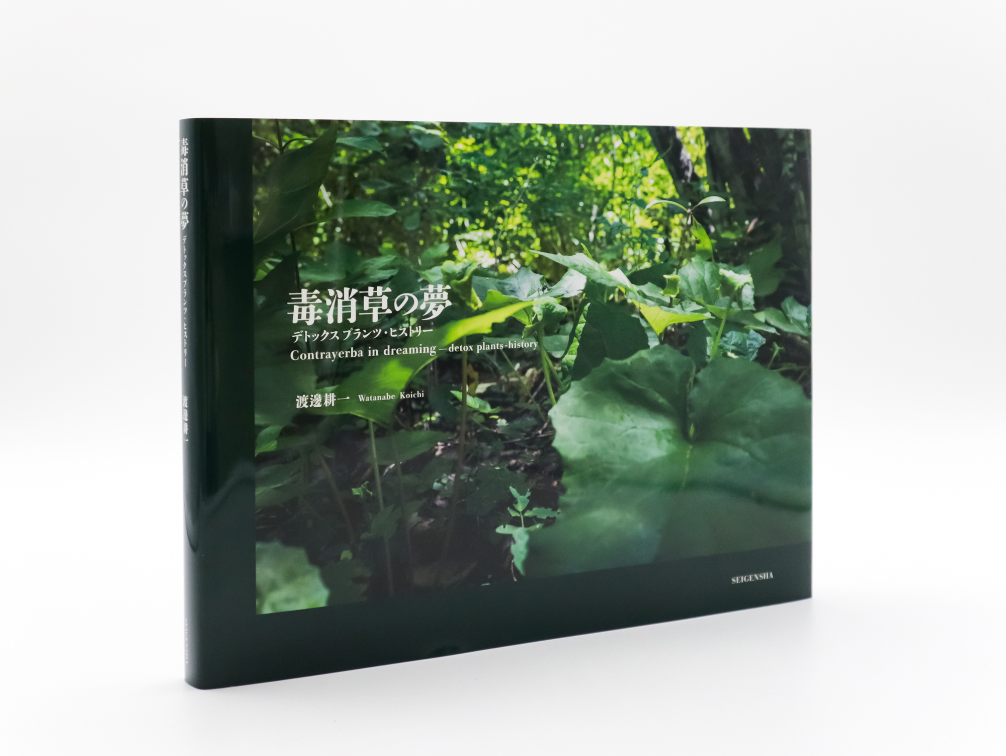 絵画 作品名 「毒と青と春」 絵画 作品名 「毒と青と春」