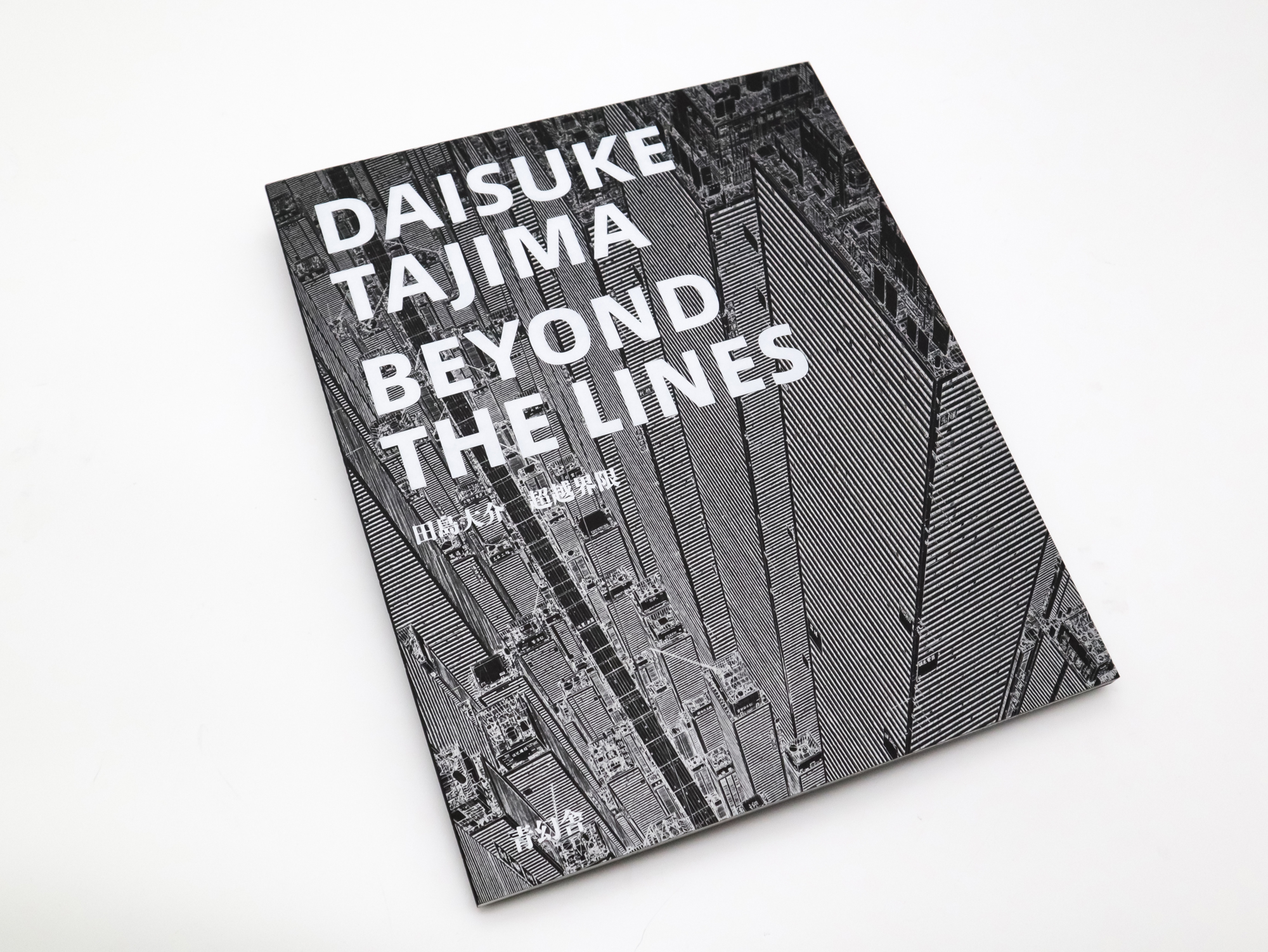 田島大介 超越界限 DAISUKE TAJIMA BEYOND THE LINES｜青幻舎