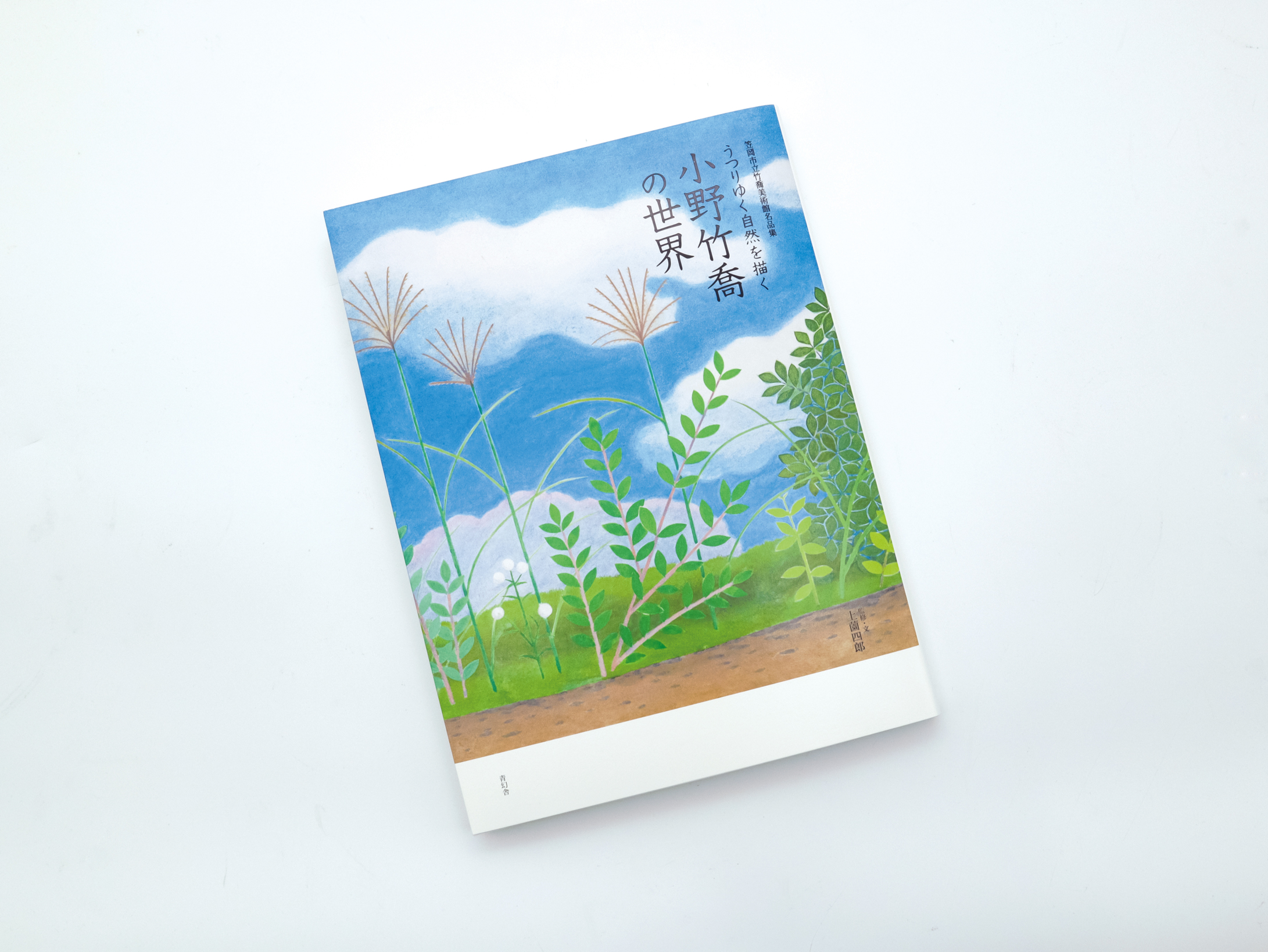 小野竹喬、春、超希少額装用画版、新品額装付 小野竹喬、春、超希少