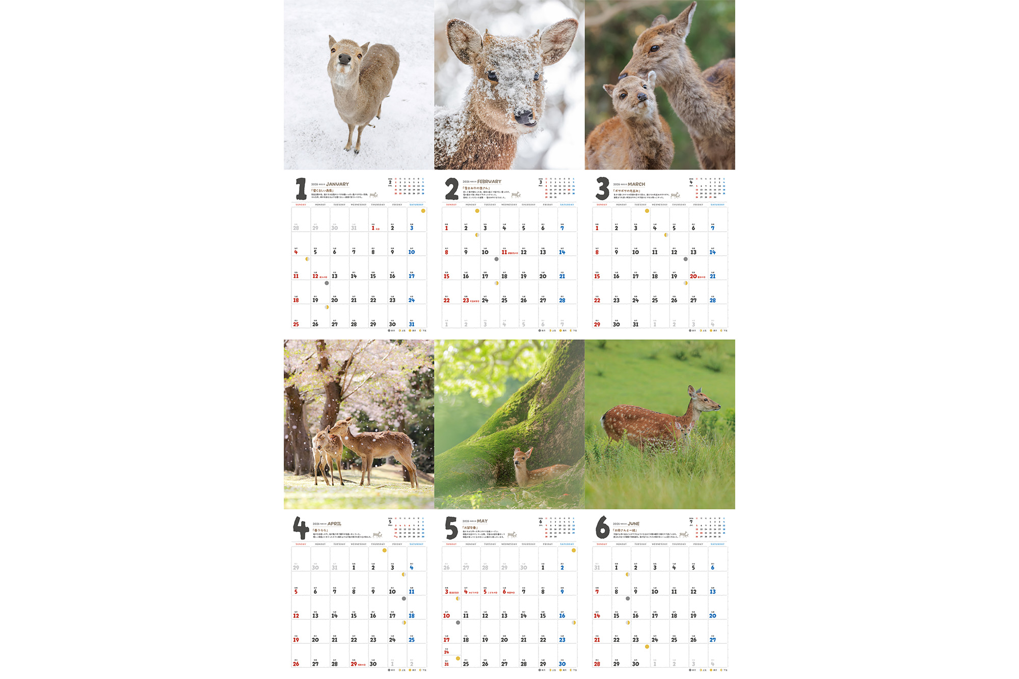 13日までの出品】 ツルネ2022年スクールカレンダー原画