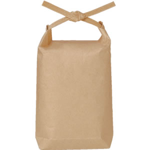 紙バンド付ポリクラフト袋105×25×185: 袋・ラミネート袋｜包装資材