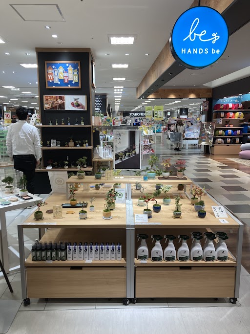 ハンズビーアミュプラザくまもと店POPUP｜石木花｜SEKIBOKKA｜盆栽