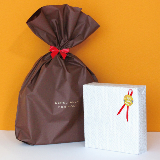 株式会社シャオール