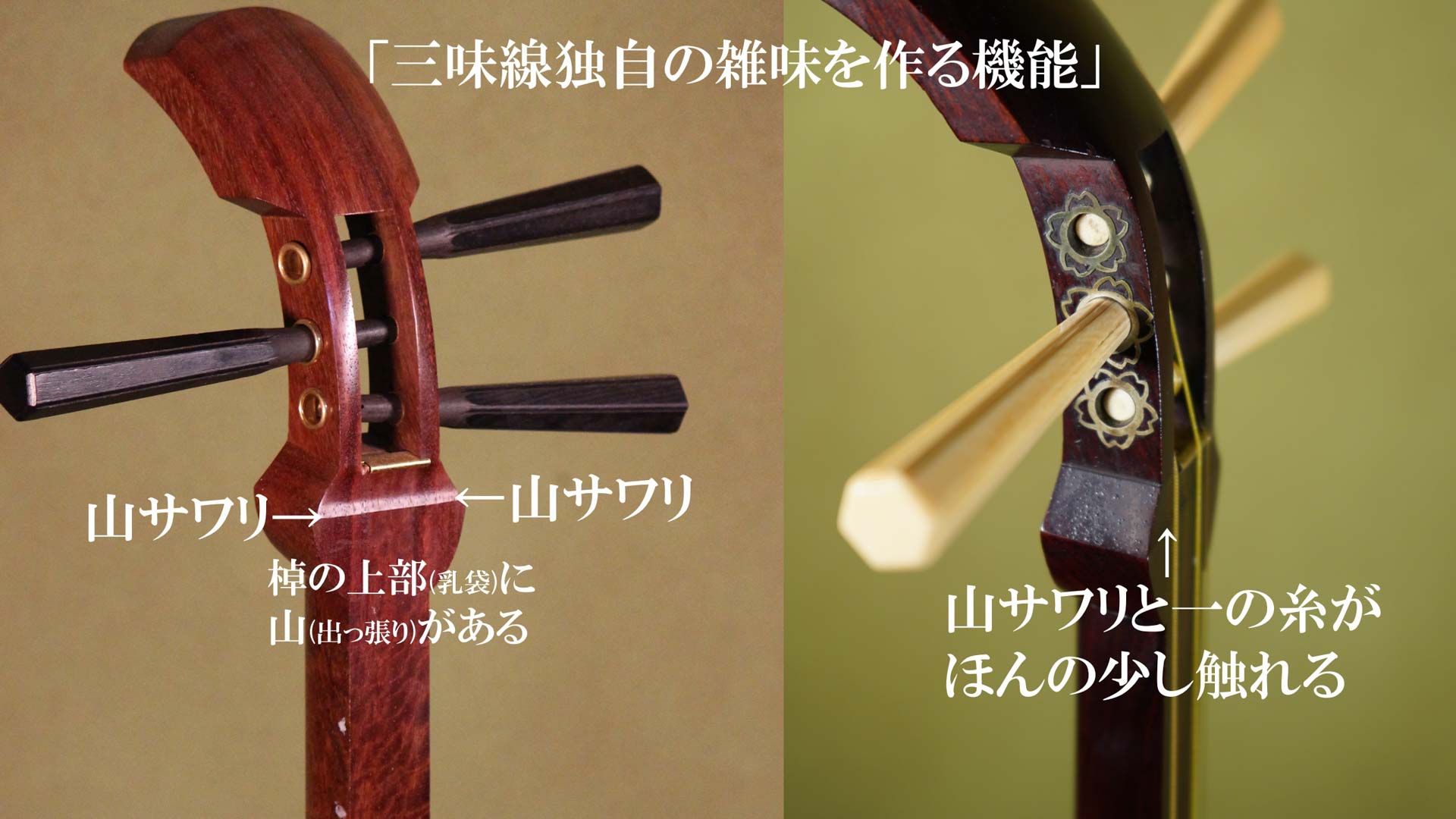 三味線 花梨 太棹 東さわり バチ：鼈甲