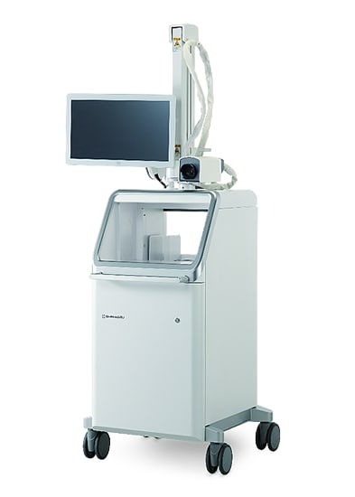 ナポレオンの胸像 マルメゾン城所蔵オリジナルからの複製 真正性証明書