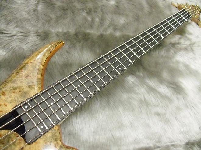 エレキベース”Phoenix(TUNE)/TWB5-Exotic～本日はなんだっぺ!?～｜島村