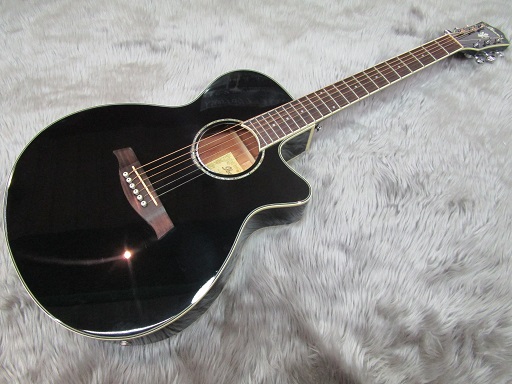 エレアコ】アイバニーズ AEGシリーズ入荷しました｜島村楽器 イオン