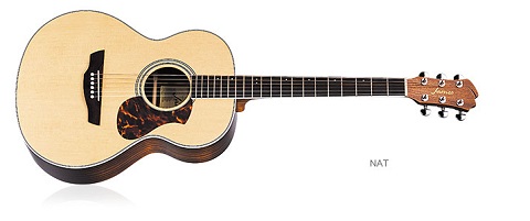 アコースティックギター】初めてのギター選びで1番選ばれているJames