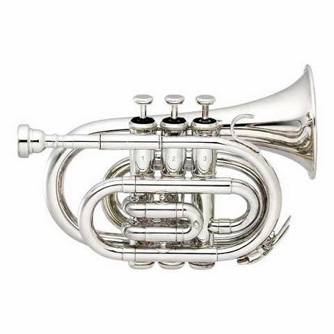 管楽器】 どこでも一緒！ミネルバポケットトランペットのご紹介