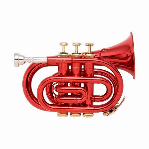 管楽器】 どこでも一緒！ミネルバポケットトランペットのご紹介