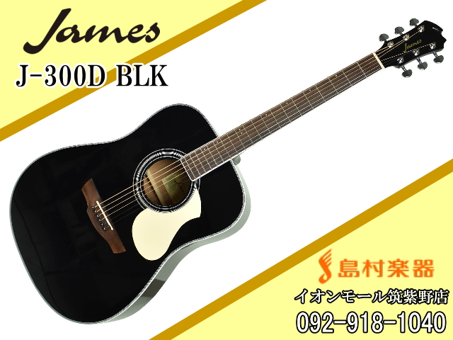 James J-300D BLK(ブラック) アコースティックギター 【ジェームス