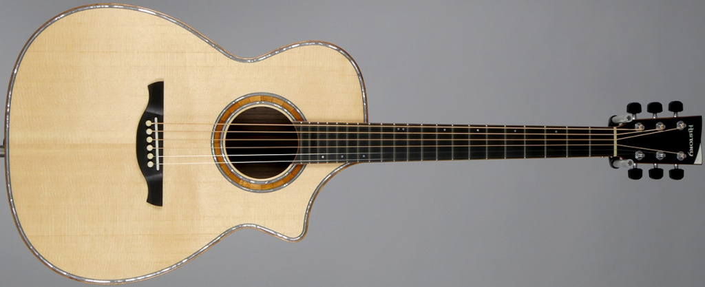 HISTORY アコースティックギター NT101 アコギ新製品】HISTORY NT