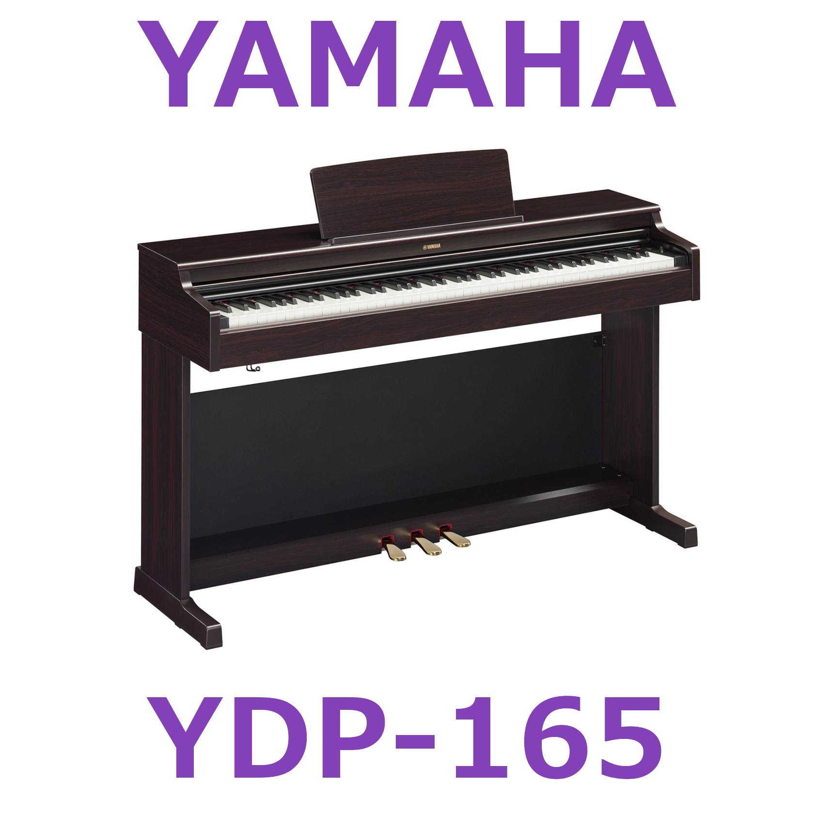 電子ピアノ/新製品】YAMAHA YDP-165 展示開始！｜島村楽器 イオン