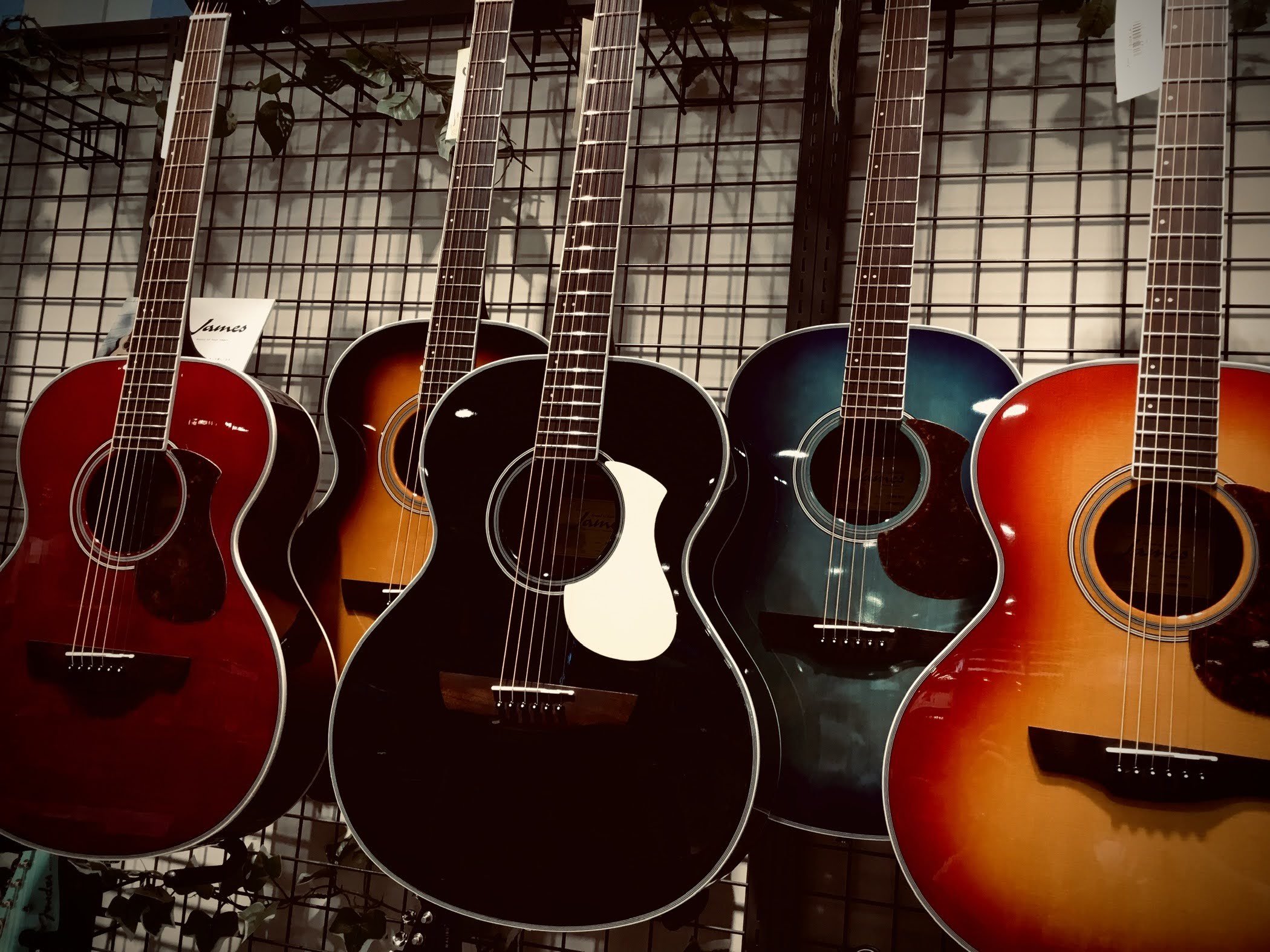 年末年始アコギを初めたい方にオススメ！James J-300A全カラー展示中