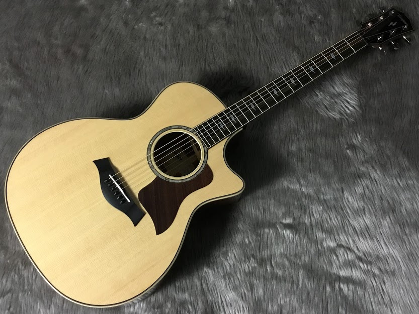 Newスタッフ白井のおススメ楽器】Part.4 Taylor/814ce V-Class｜島村