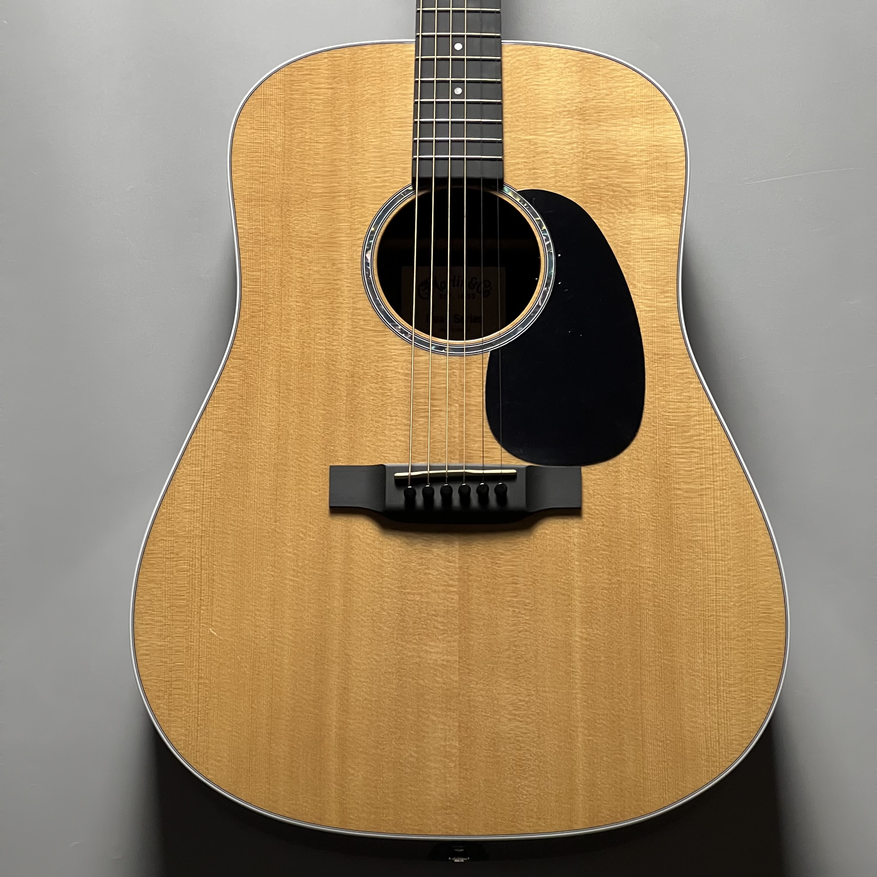 アコースティックギター】アリオ橋本店 新品特価SALE！！！｜島村楽器