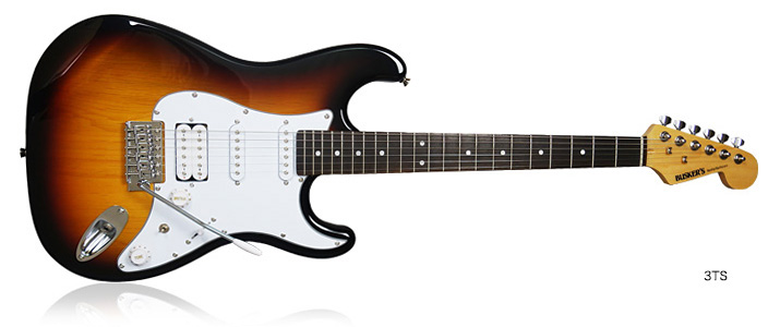 エレキギター】初めてのエレキギター選びはパサージオ西新井店で