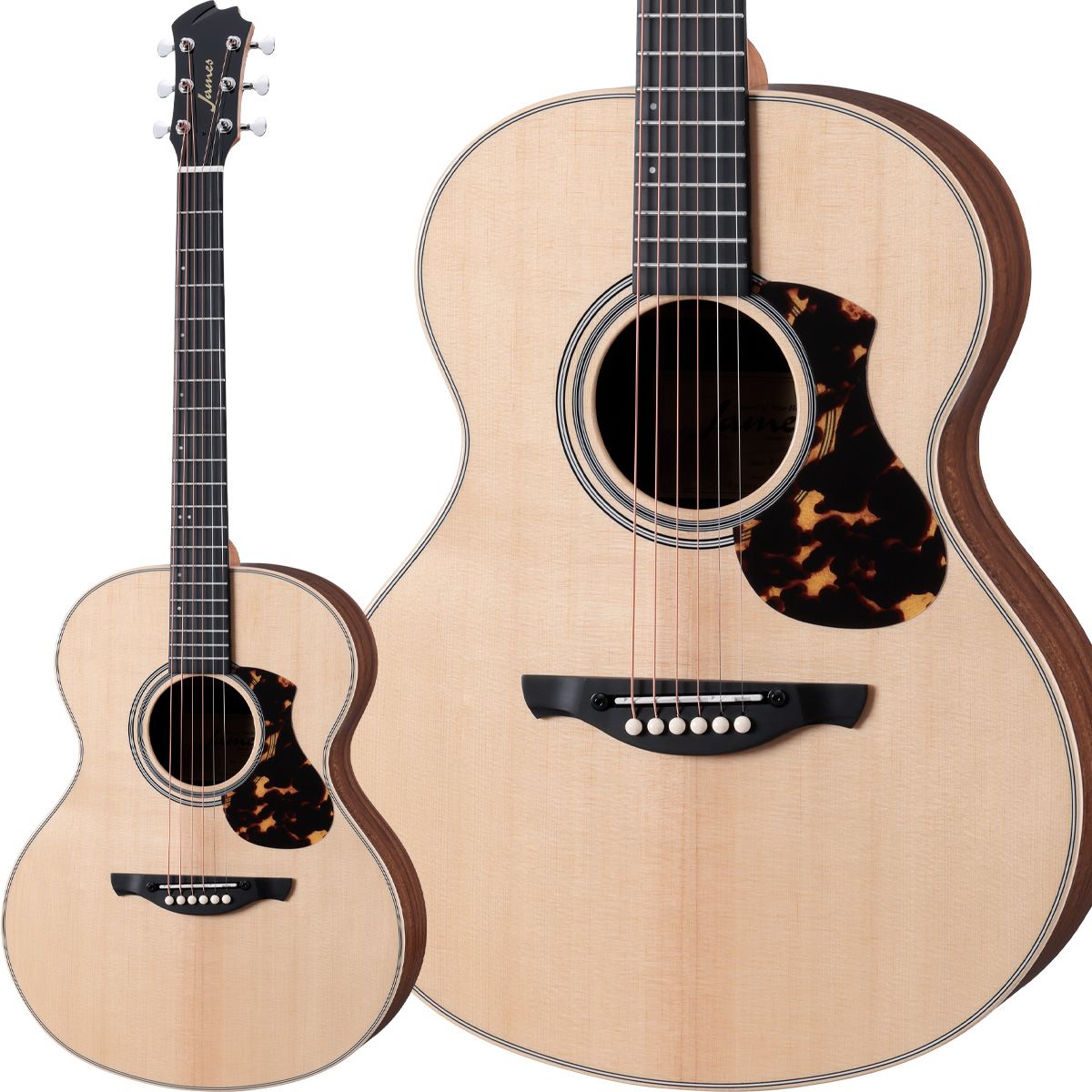 初めてのアコースティックギターの選び方】｜島村楽器 イオンモール鈴鹿店