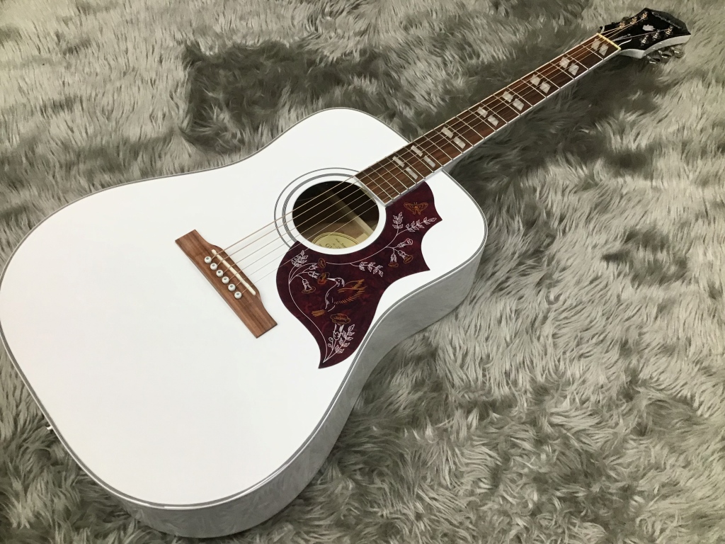 アコースティックギター】人気のエピフォン Hummingbird PROが限定