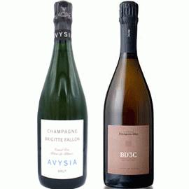 ブリジットファロン 2本セット ① シャンパン 自然派ワイン