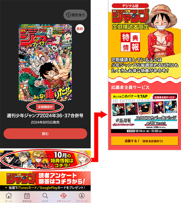 呪術廻戦 定期購読者限定 スクエアカバー缶バッジ 31種31点 呪術廻戦