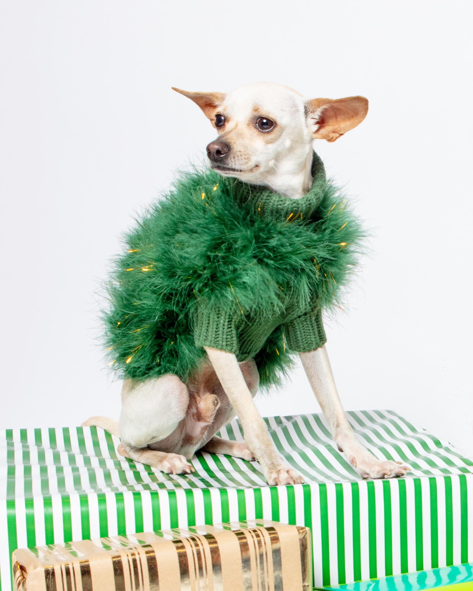 MAXBONE | Christian Cowan Holiday Glitz Jumper Dog Sweater | DOG & CO.