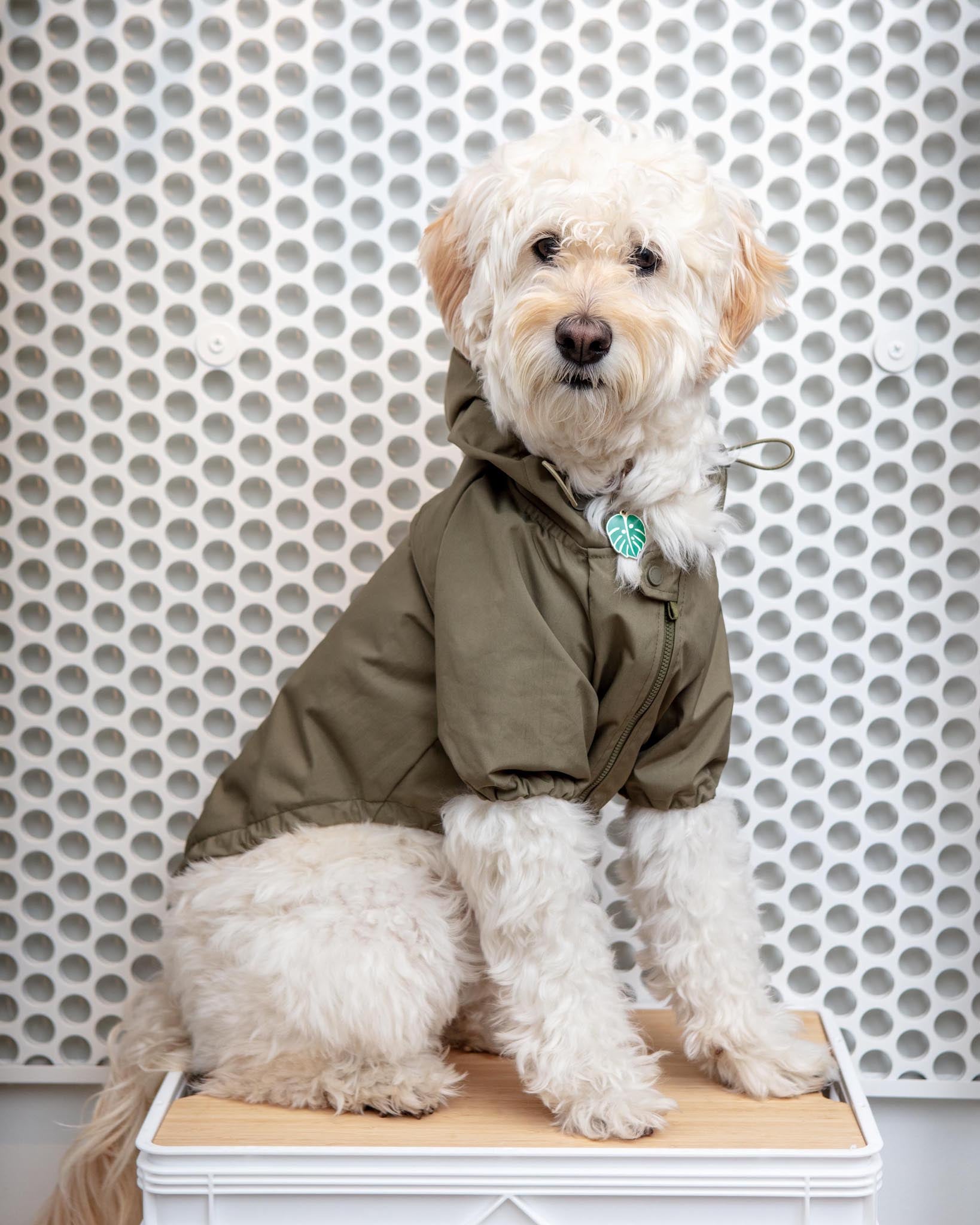 LAMBWOLF | Brooklyn Nylon Water Resistant Dog Jacket | DOG & CO.