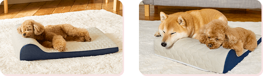 公式】トゥルースリーパー ペットベッド｜ショップジャパン テレビ