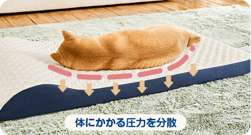 公式】トゥルースリーパー ペットベッド｜ショップジャパン テレビ